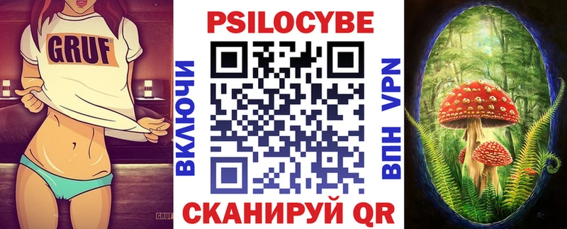 Псилоцибиновые грибы Psilocybine cubensis  Купить где  Болотное 